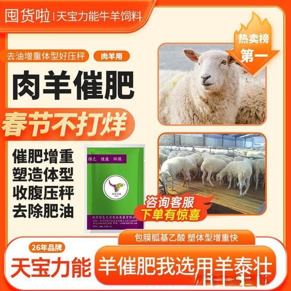 羊在不同生长阶段的饲料需求