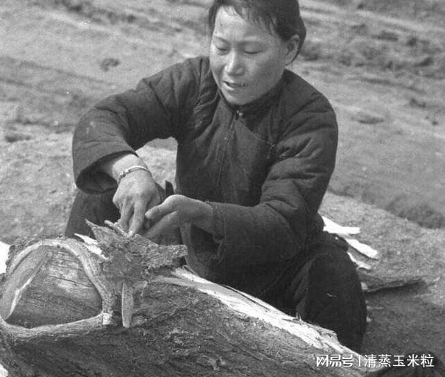 1942年河南大饥荒：从被质疑到真相大白的历史见证