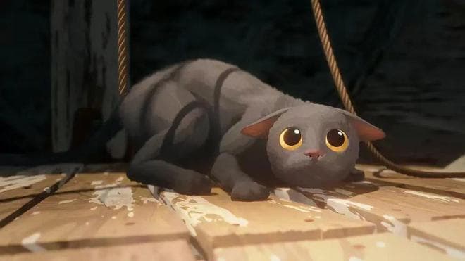 金球奖黑马！一只小猫的末世漂流