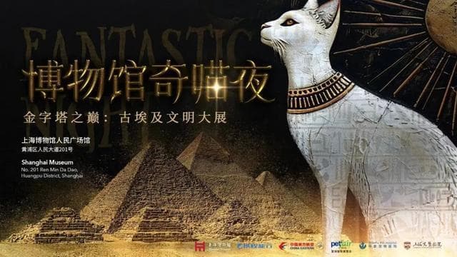 魔都含宠量100%的好去处！上海这些地方开放宠物友好模式