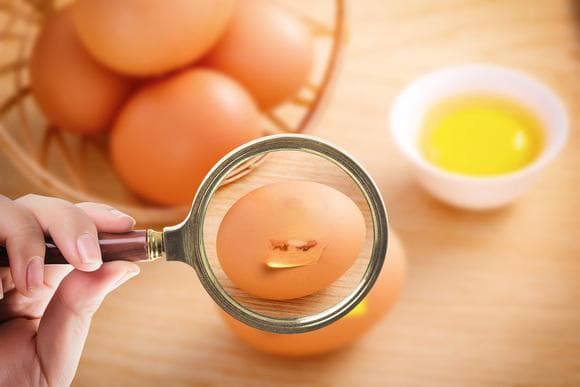 什么是食品安全责任险