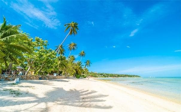 B1B2 续签难不难？详解美国旅游商务签的续签条件与准备材料