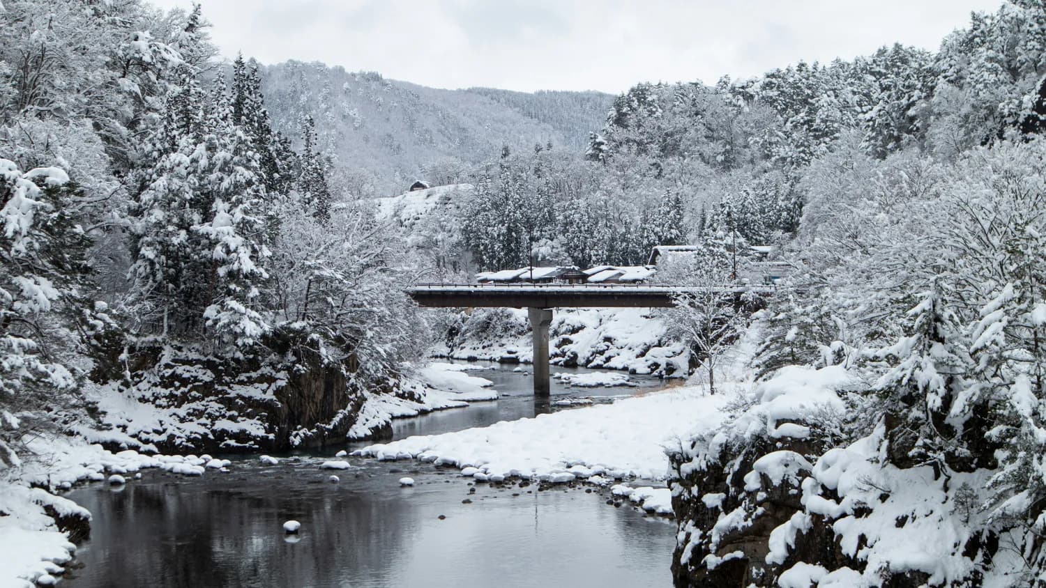 京都嵐山赏雪攻略：1月中旬至2月初最佳！
