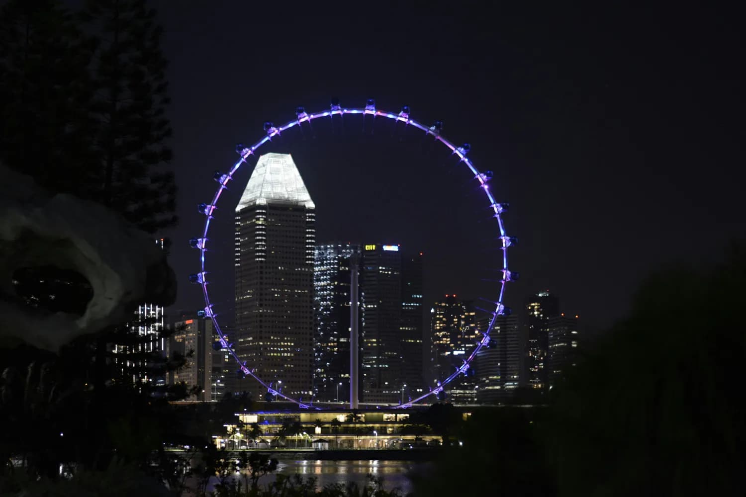 新加坡摩天轮：日落时分最浪漫！