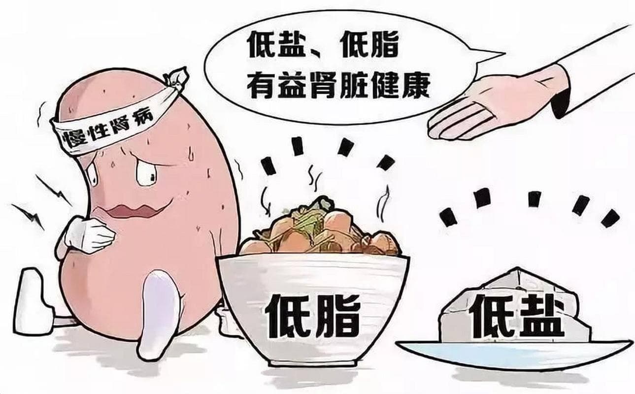 尿毒症患者低盐饮食指南：必要性、标准与实施方法