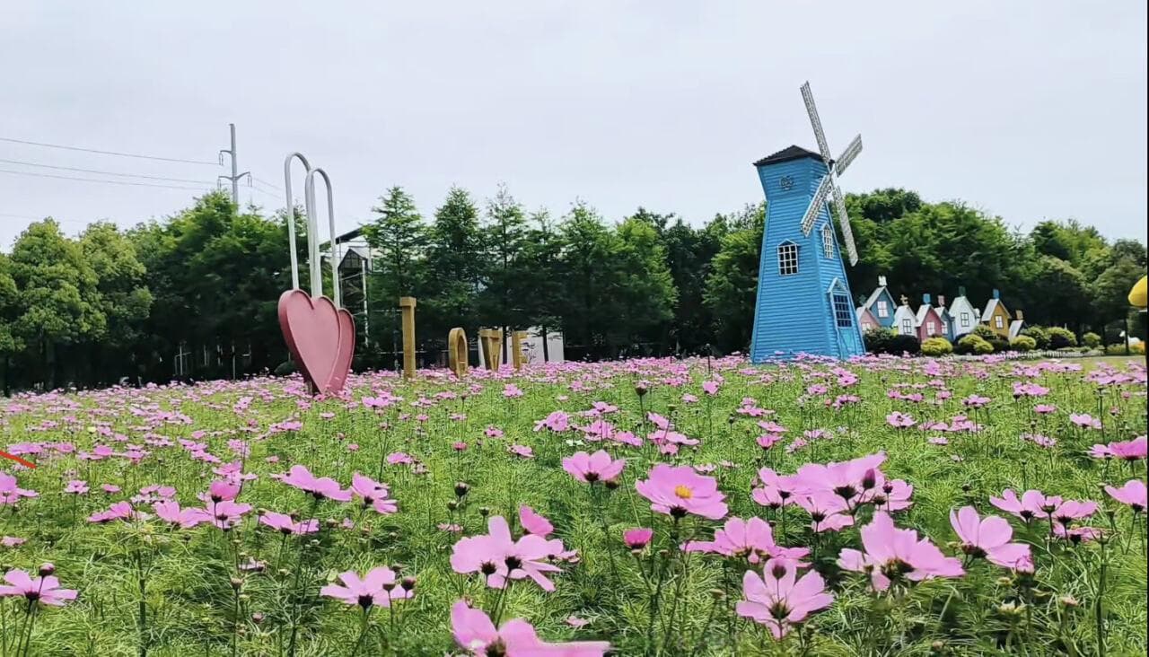 台州：生态文明建设示范区全覆盖，打造绿色转型样本