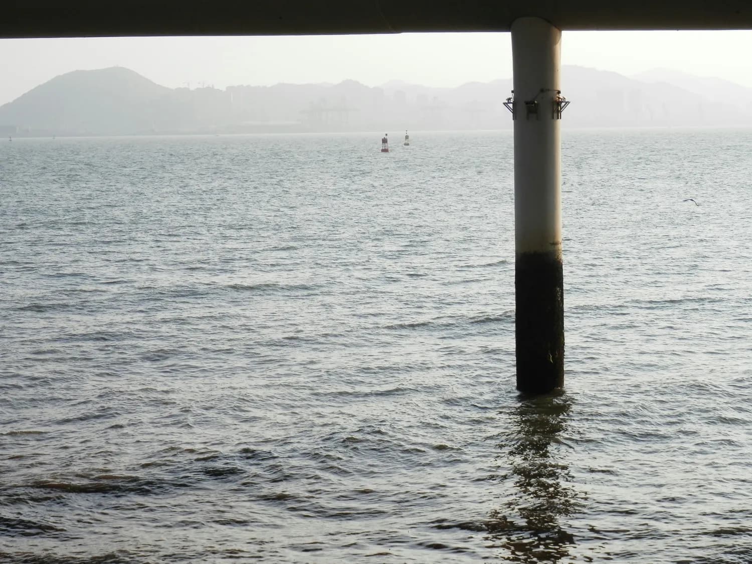 打卡厦门地铁1号线：全国首条海景地铁的浪漫之旅