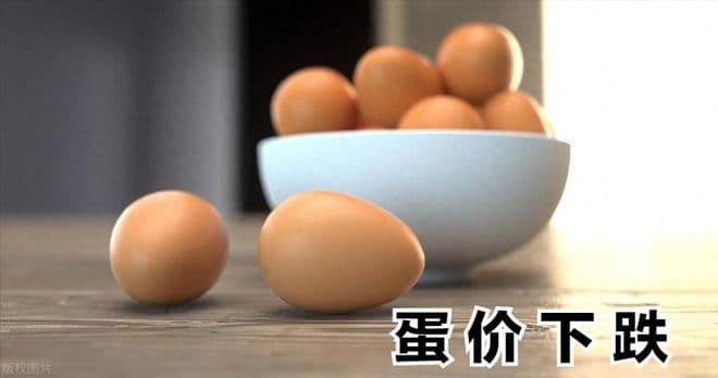 百姓福音到，鸡蛋价格下跌，究竟是什么原因？有什么影响？
