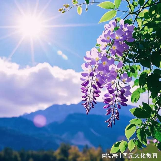 《追风筝的人》：做个不伤害别人的人