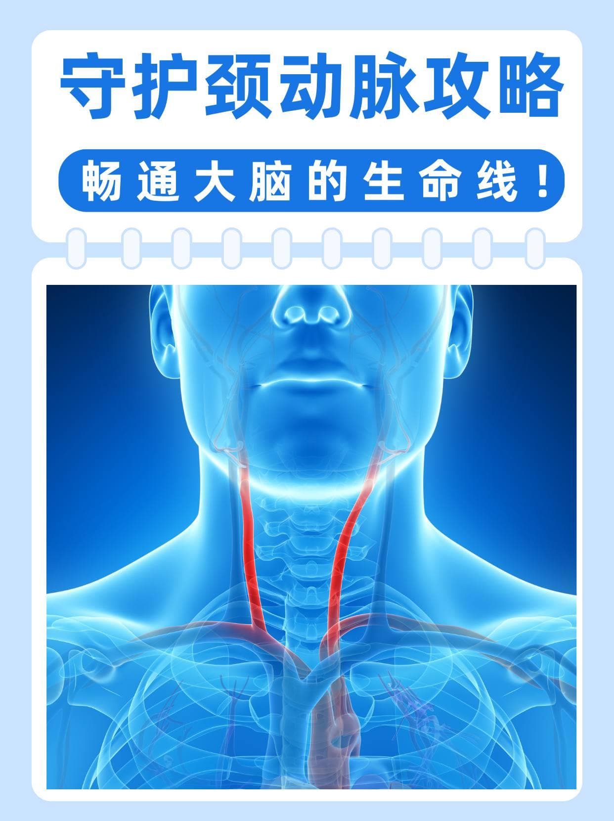 守护颈动脉攻略，畅通大脑的生命线