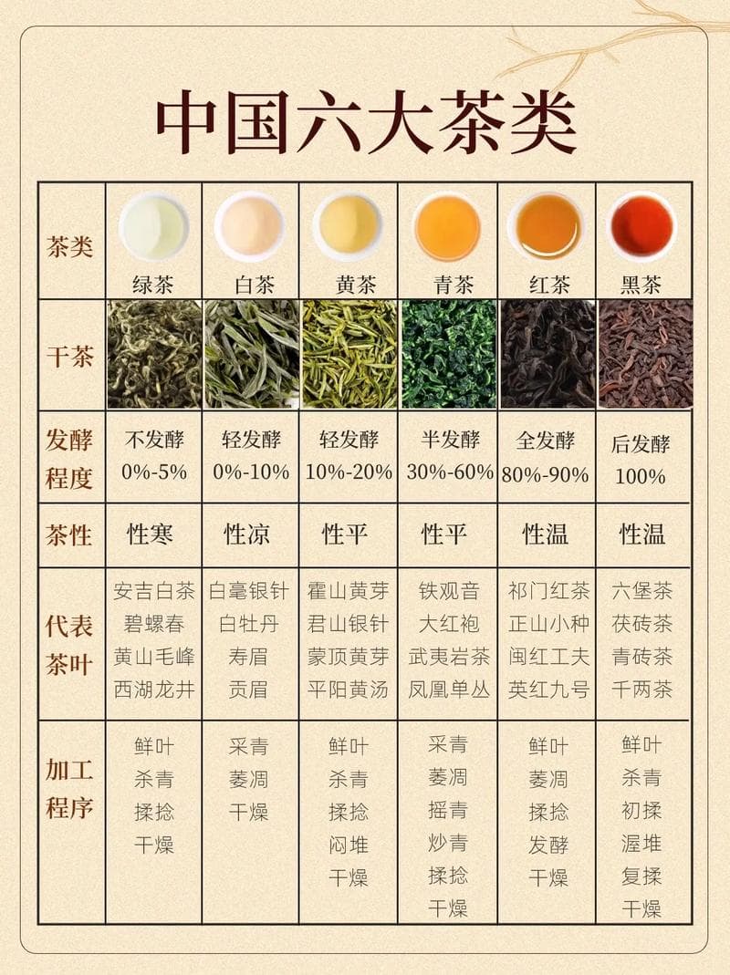 茶叶的六大分类及其独特魅力
