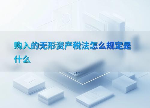 购入的无形资产税法规定解析
