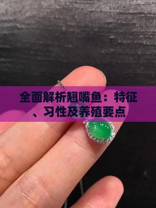 翘嘴鱼养殖全攻略：从特征习性到养殖要点