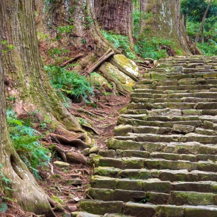 熊野古道徒步旅游攻略：日本最具代表性的朝圣路线