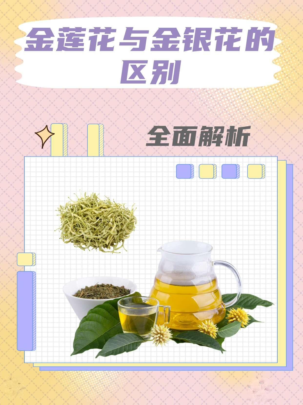 金莲花与金银花的区别：全面解析