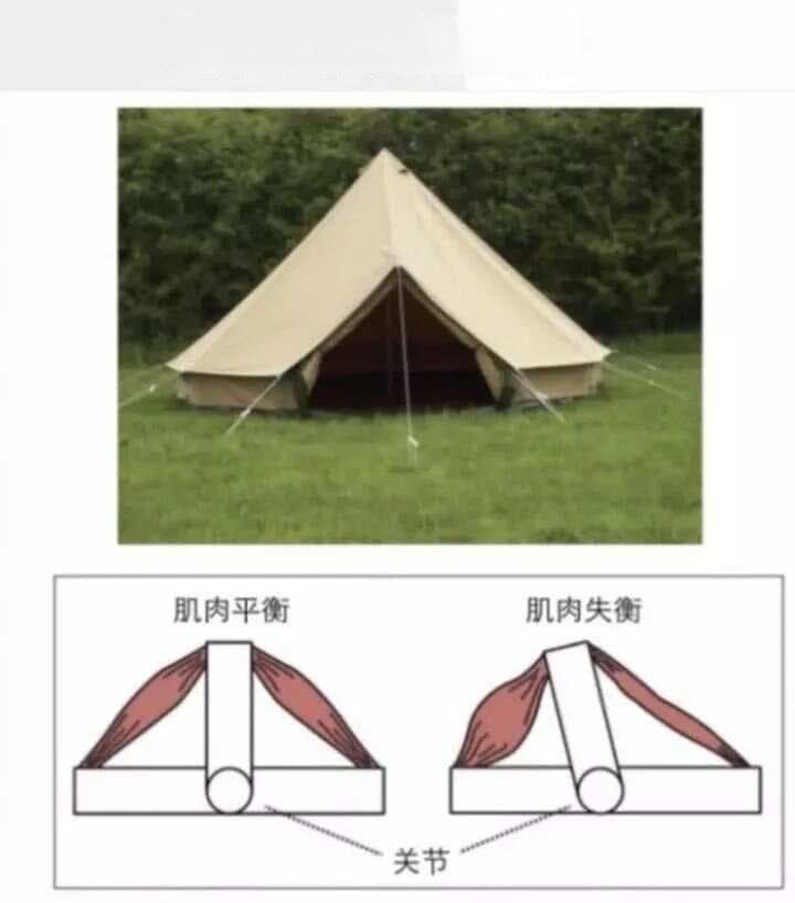 运动康复三阶段：从基础训练到日常生活应用