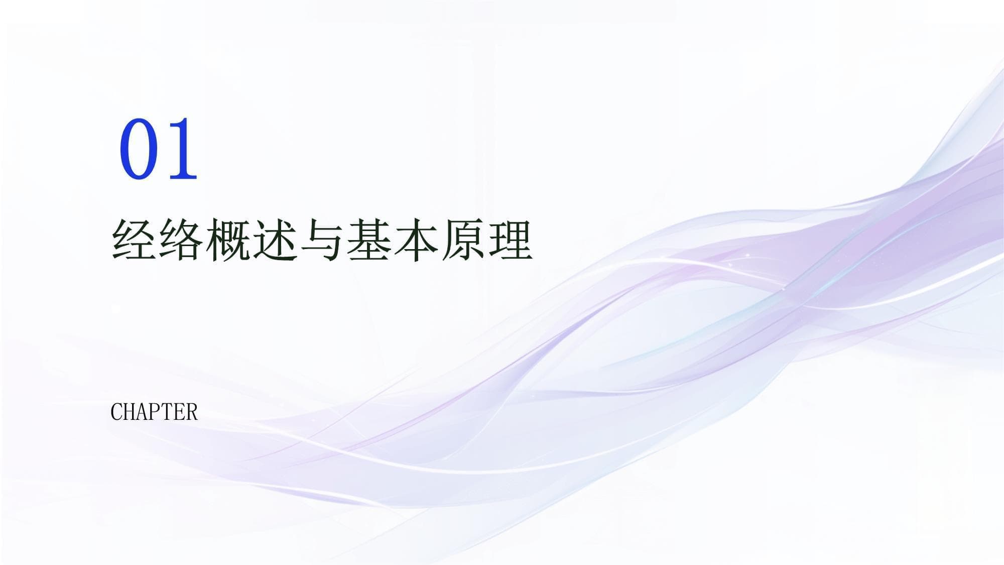 中医经络基础培训：从理论到实践的全面解析