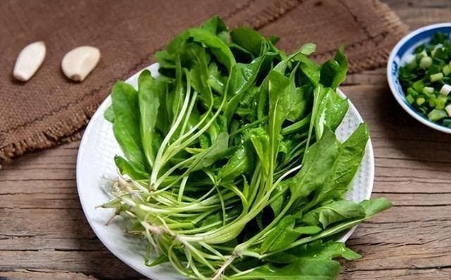 春季是野菜的生长旺季，牢记采摘和食用注意事项，踏青并尝鲜