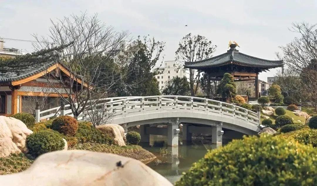 上海这些“高颜值”小众古镇你都去过吗？乘公共交通可直达→