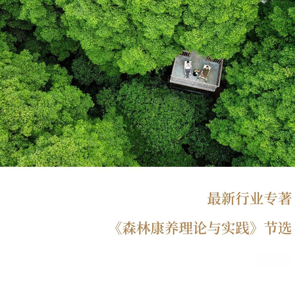 德国森林康养领跑全球：政策支持与产业创新双轮驱动