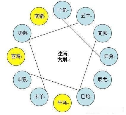 十二生肖相冲，谁是你的情敌？