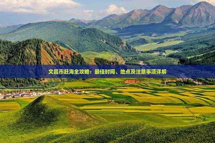 文昌市赶海全攻略：最佳时间、地点及注意事项详解