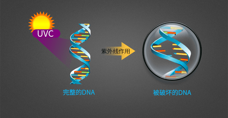 紫外线灯的杀菌原理及使用注意事项