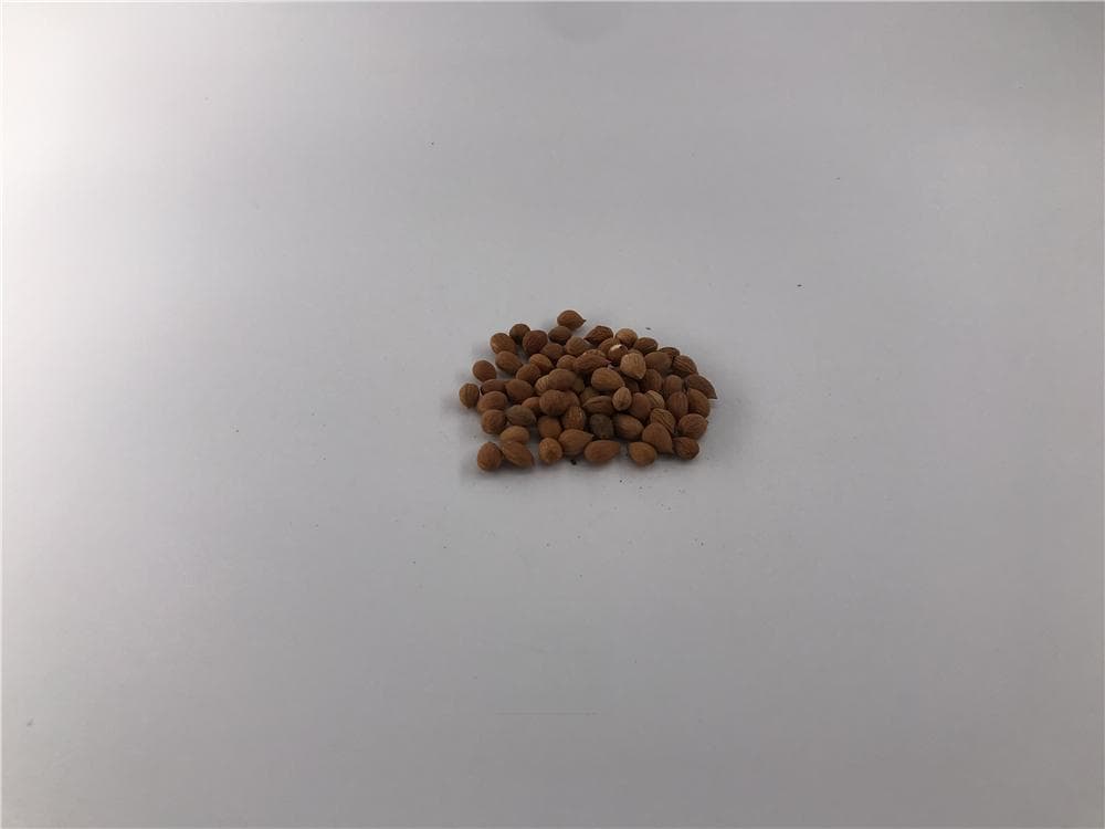 郁李仁的功效与作用
