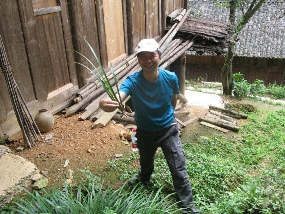 逛菜场发现药材新物种，为合理用药提供依据