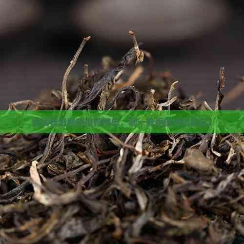 优质普洱熟茶推荐榜单，哪一款更值得您品尝？