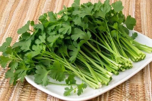 香菜的功效与食用禁忌：从健康益处到注意事项