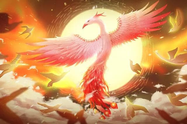 凤凰：中国传统文化中的百鸟之王