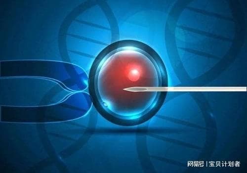 备孕期间的饮食指南：哪些营养素和食物更利于孕育新生命？