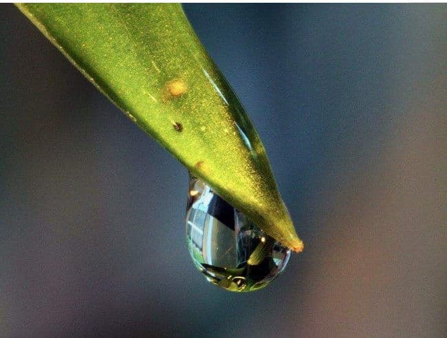 软物质的硬科学！水滴、气泡和Nature的故事