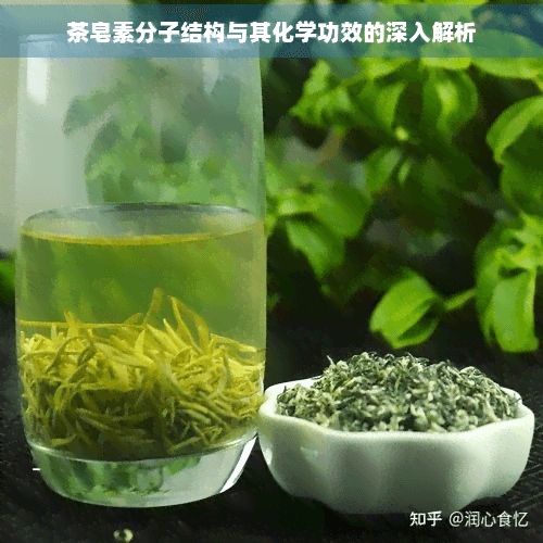 茶皂素分子结构与其化学功效的深入解析