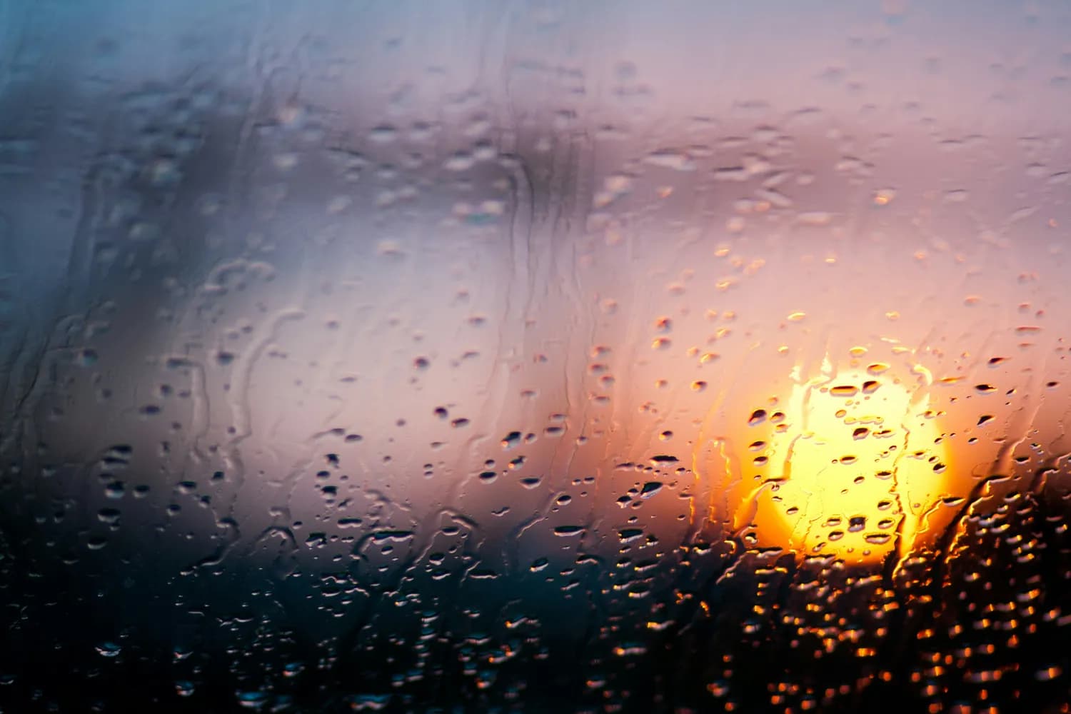 “东边日出西边雨”：诗意、科学与文化的完美融合