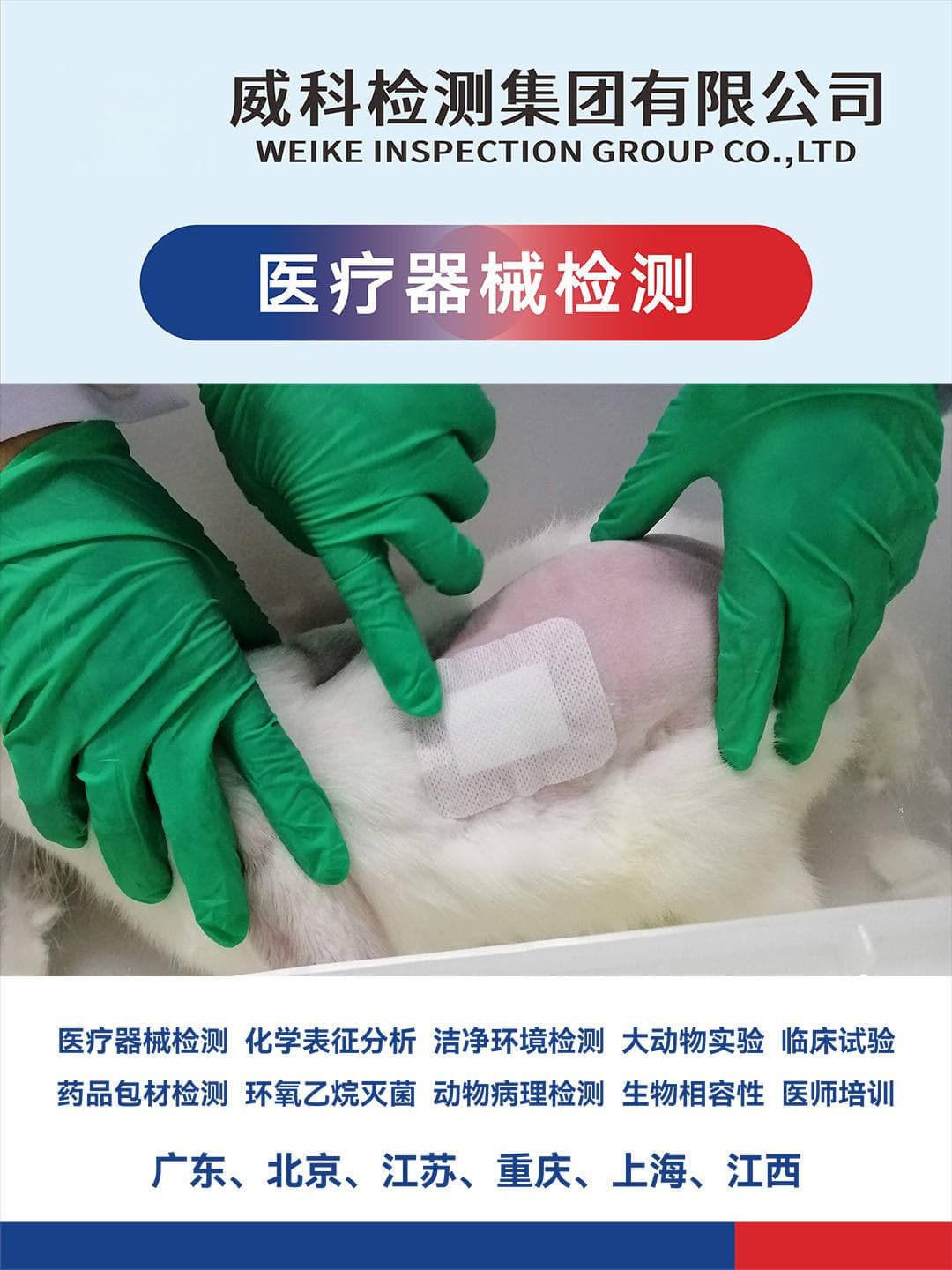 刺激与致敏试验标准GB/T16886.10和ISO10993-10