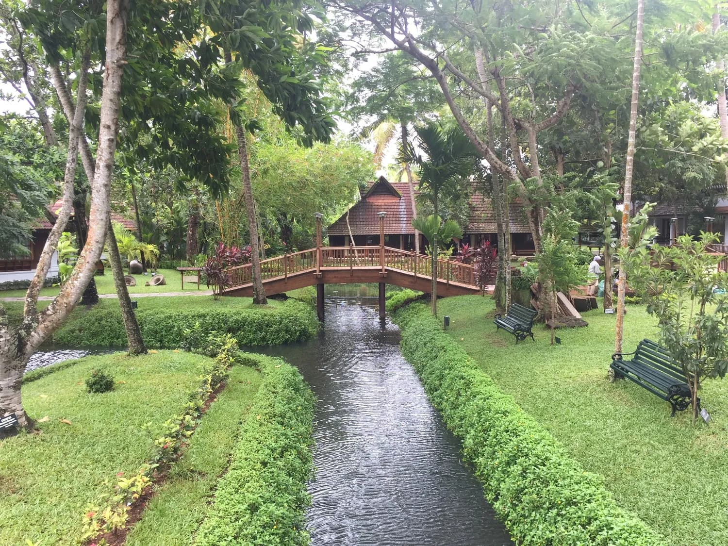 西双版纳夏季旅游攻略：高温多雨怎么玩？