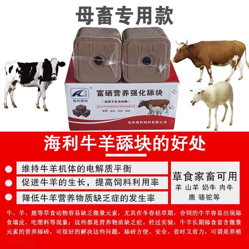 繁育羊场分栏饲养的意义，如何正确分栏？