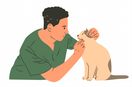 猫咪黑下巴擦什么药膏好？这里有答案！