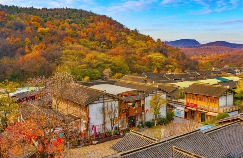 江苏新增5家国家级旅游民宿，甲级数量领跑全国