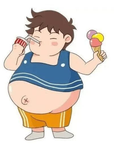 中医视角下的肥胖论治：调和气血，重塑轻盈体态