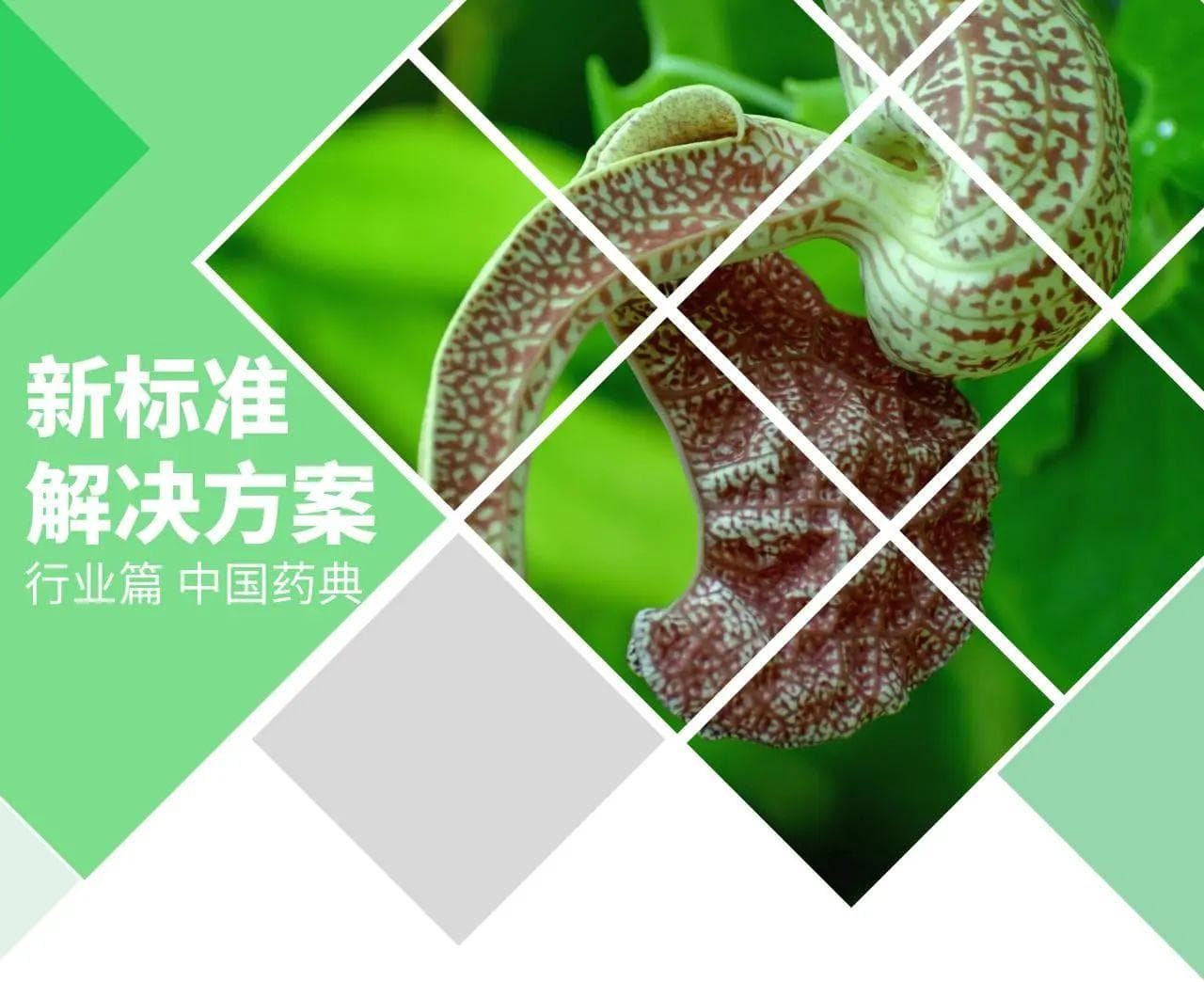 药典委中成药中马兜铃酸Ⅰ检查指导原则已公示，岛津解决方案来助力
