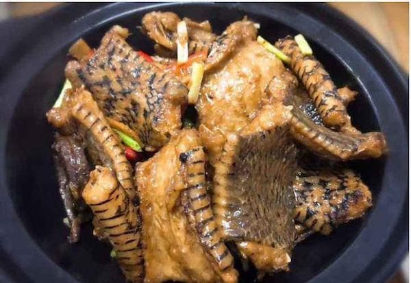 梦见吃蛇肉的深层寓意
