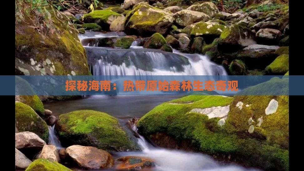 探秘海南：热带原始森林生态奇观