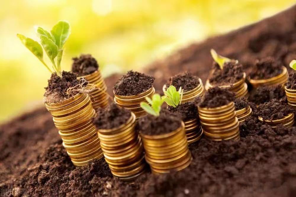 六大暴利中药材种植项目：从金银花到丹参的财富密码