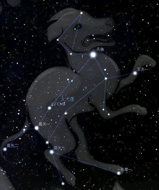 大犬座——据称能捉到世上所有的猎物