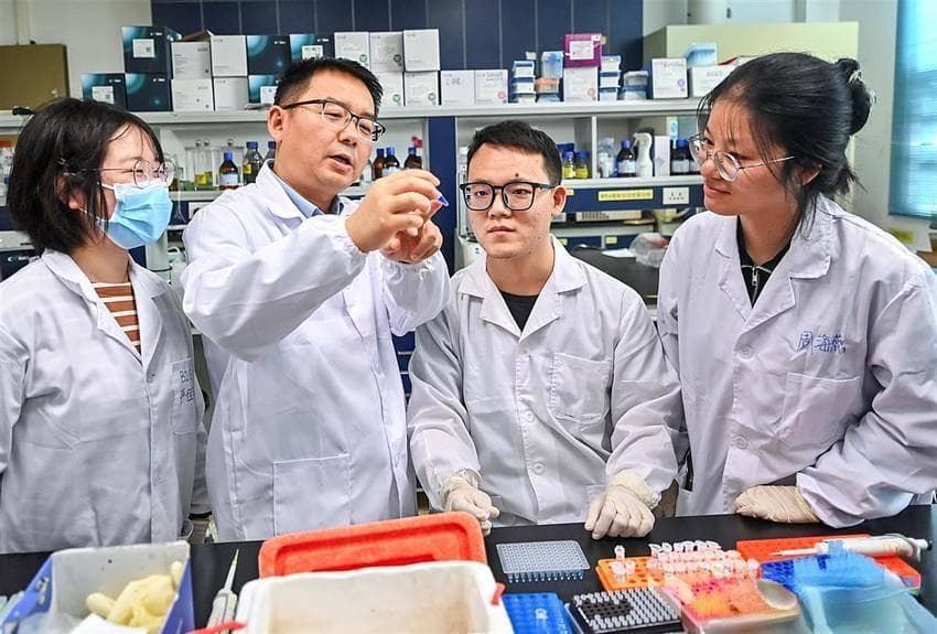 华农改良作物遗传：培育出高产高蛋白玉米新品系