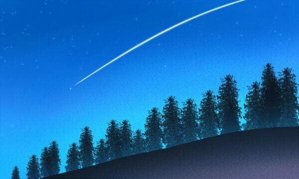 2024中国海洋大学在浙江录取分数线 各专业分数及位次