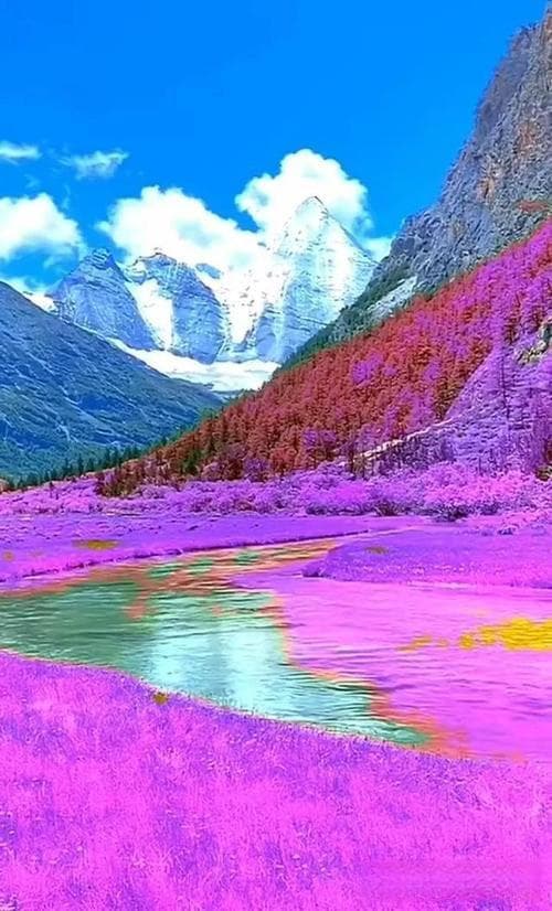 探寻中国四大名楼之美景